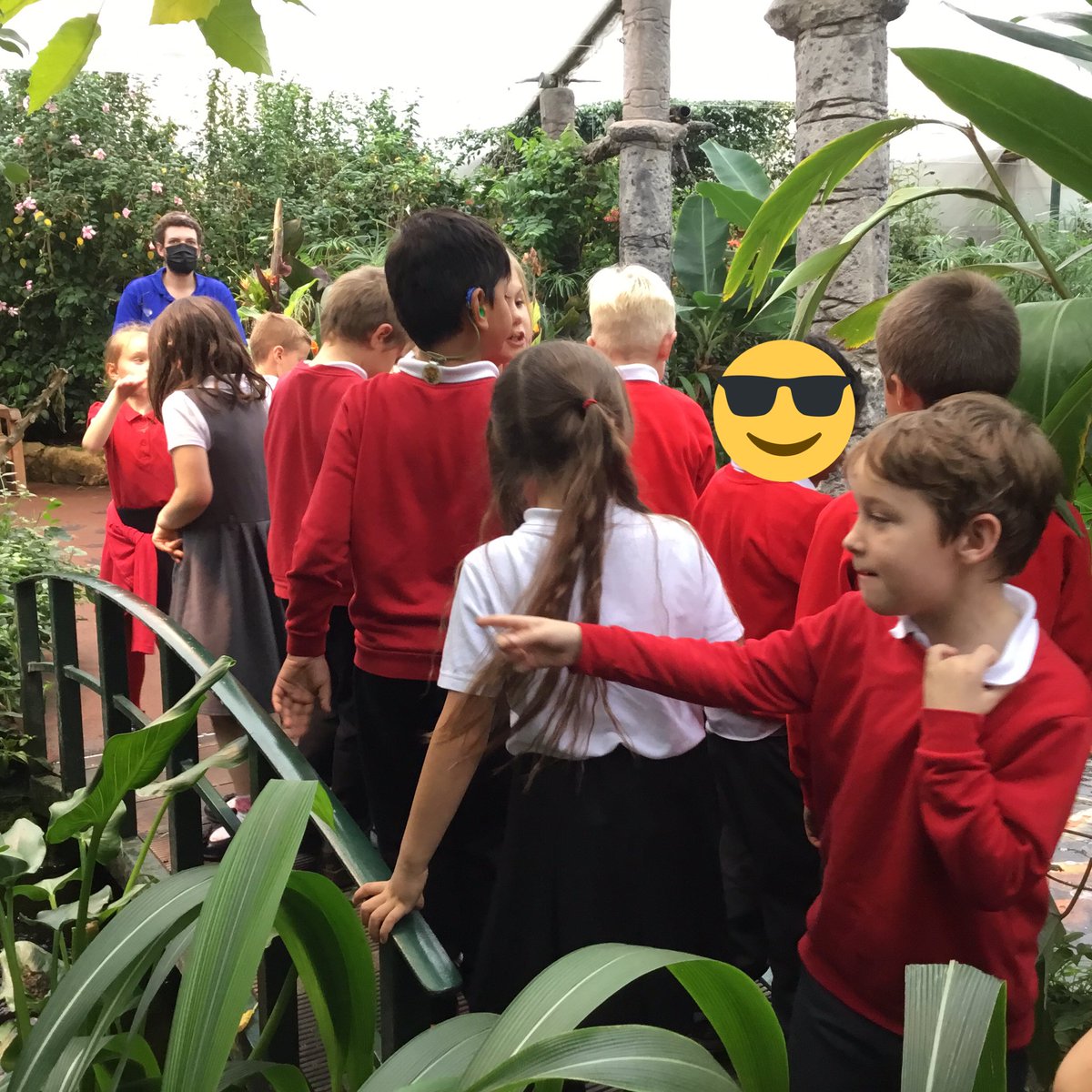 TJPrimary's tweet photo. #Year2 had a wonderful time exploring the @StratButterfly farm yesterday! #TJScience #TJ2C #TJ2C https://t.co/WIGZGY406Q