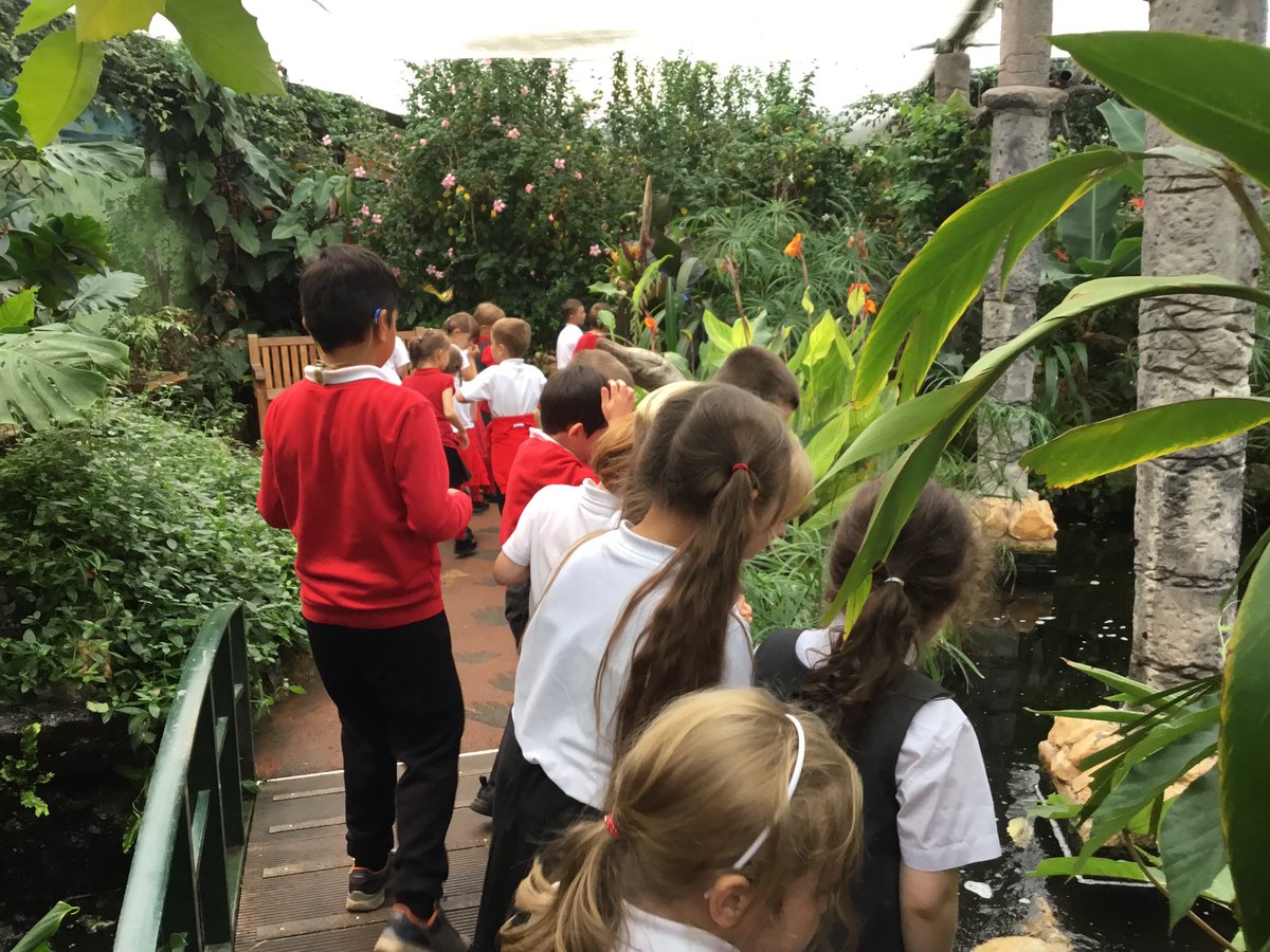 TJPrimary's tweet photo. #Year2 had a wonderful time exploring the @StratButterfly farm yesterday! #TJScience #TJ2C #TJ2C https://t.co/WIGZGY406Q