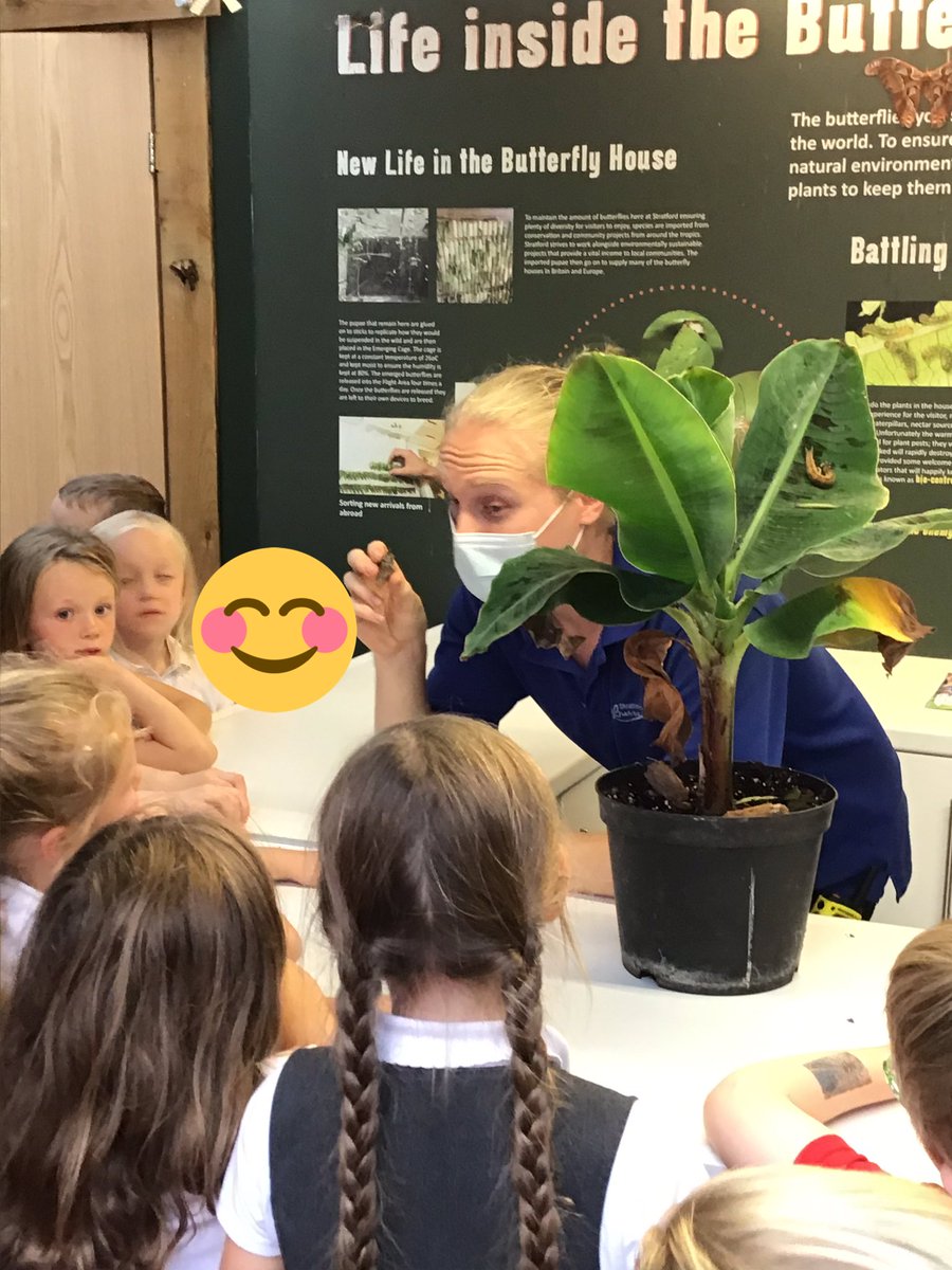 TJPrimary's tweet photo. #Year2 had a wonderful time exploring the @StratButterfly farm yesterday! #TJScience #TJ2C #TJ2C https://t.co/WIGZGY406Q