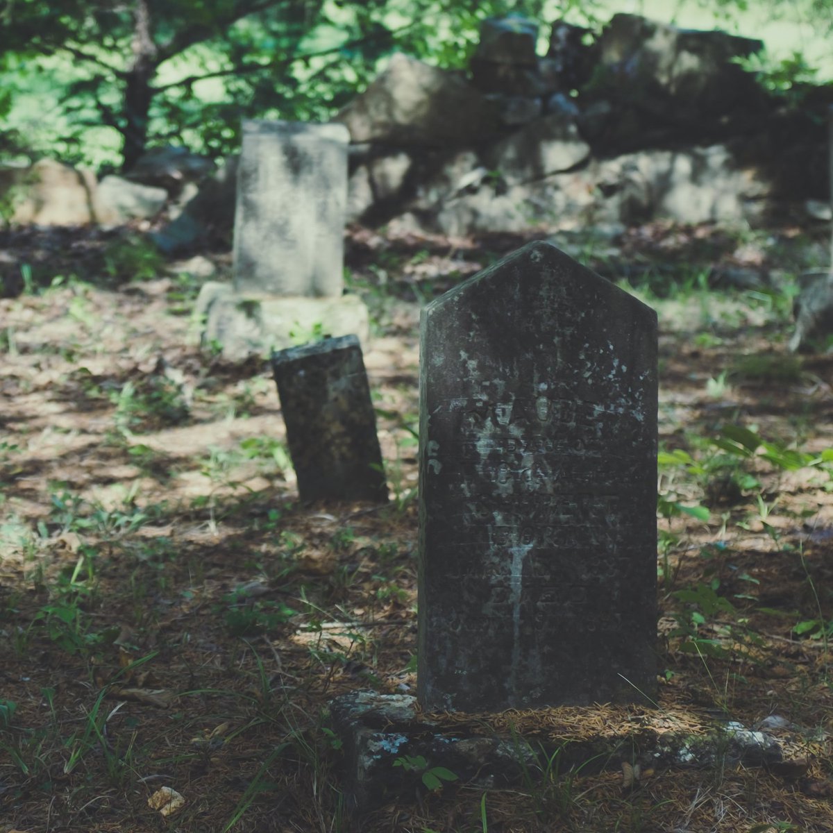 socantscot's tweet photo. Archaeologists began to be deployed in mass graves in Europe in the 1990s, however there are significant ethical issues involved.
This will be explored in depth by Prof John Hunter during this session on Mass Graves and Ethics, followed by a live Q&A session.
#Rhinds2021 https://t.co/swfgT7gw4U