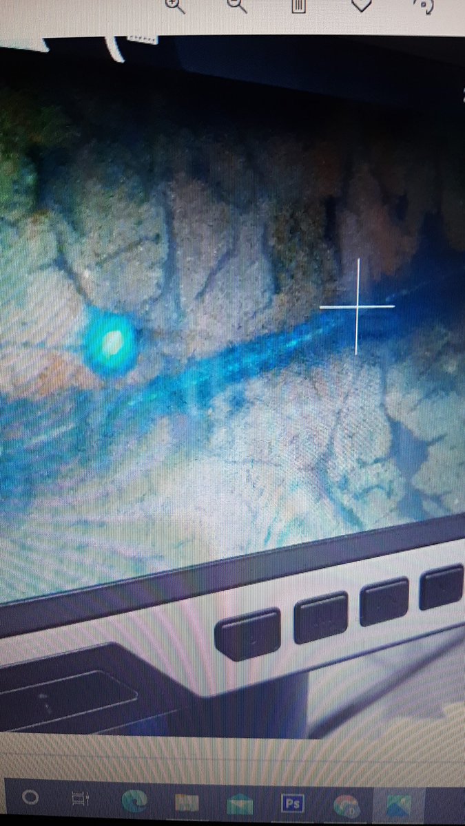 Serpil Özkan tweet media