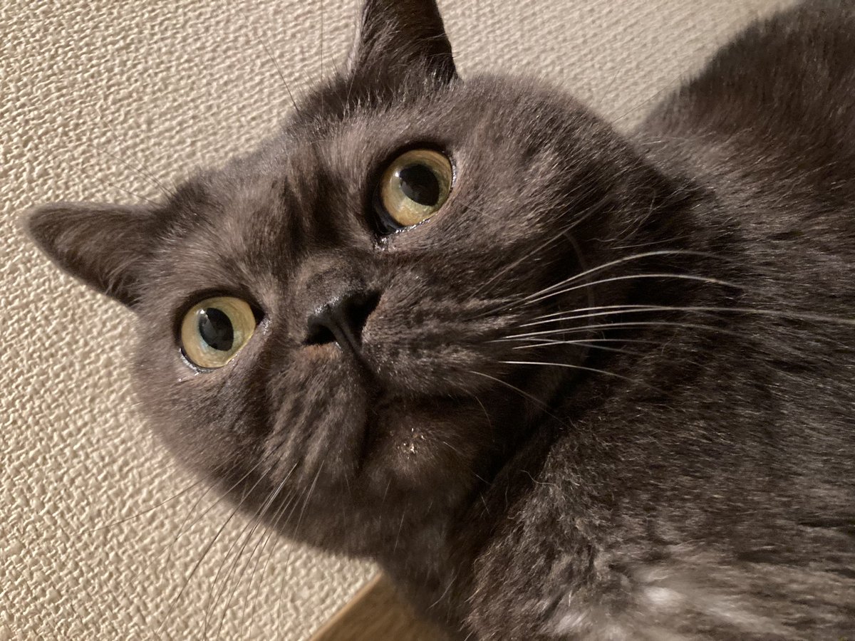 pmecream's tweet photo. 自分の家族が手術の初歩的なミスで亡くなるとか考えられへん https://t.co/CW9MmJh8E6