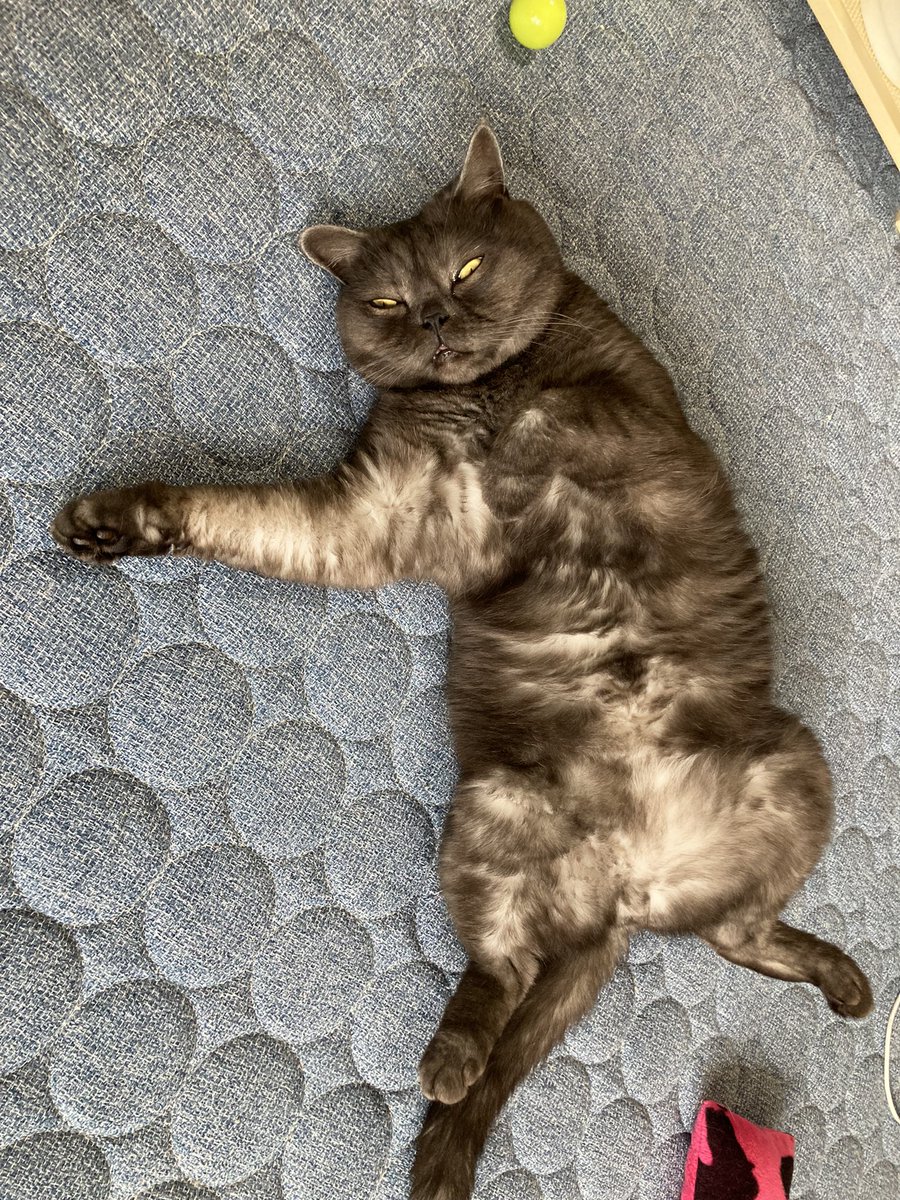 pmecream's tweet photo. 自分の家族が手術の初歩的なミスで亡くなるとか考えられへん https://t.co/CW9MmJh8E6