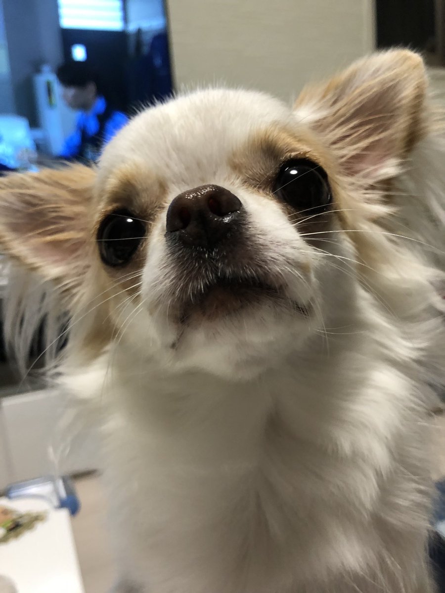 pmecream's tweet photo. 自分の家族が手術の初歩的なミスで亡くなるとか考えられへん https://t.co/CW9MmJh8E6