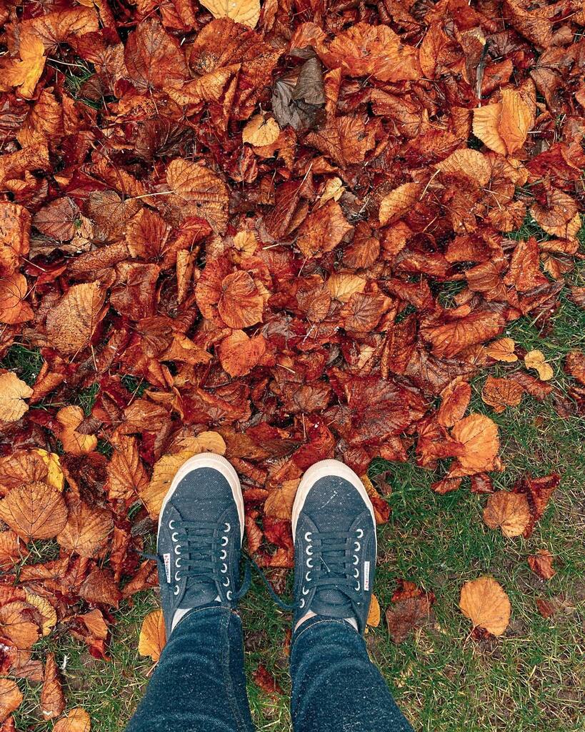 Kells58's tweet photo. Watch the sunrise at least once a year 

Put a lot of marshmallows into your hot chocolate

Lie on your back and look up at the stars

Never buy a coffee table you can’t put your feet on

Never pass up the chance to jump on a trampoline

Don’t overlook l… https://t.co/GSZMZlP4Si https://t.co/11jrw9eFgV