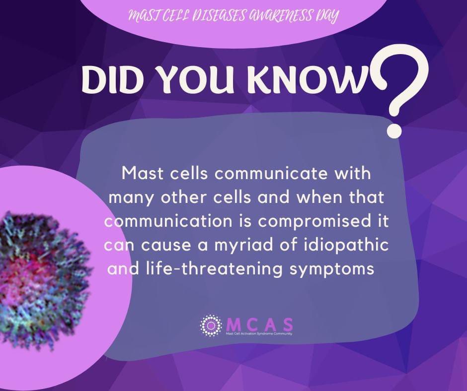 Today is Mast Cell Disease Awareness Day. 💜 It’s tough when you feel like you can’t fully trust your own body. Having allergic reactions to a food, smell, or a medication you never had issues with before. #mastcellawarenessday #MCAS #hEDS #POTS