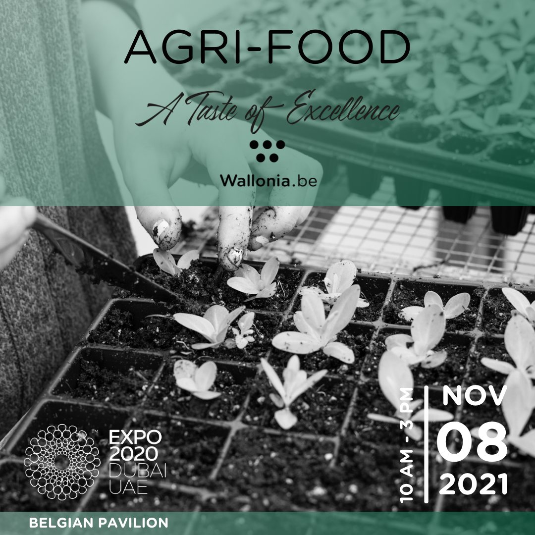 Monday, November 8, the AGRIFOOD sector will be in the spotlight during our #walloniabrusselsweek. 🌱🇧🇪💫
Meet us at the  @BEpavilion2020  on the @expo2020dubai  for a masterclass ✨FROM SAND TO PLATE✨

Subscribe now via this link ➡ linktr.ee/awexuae