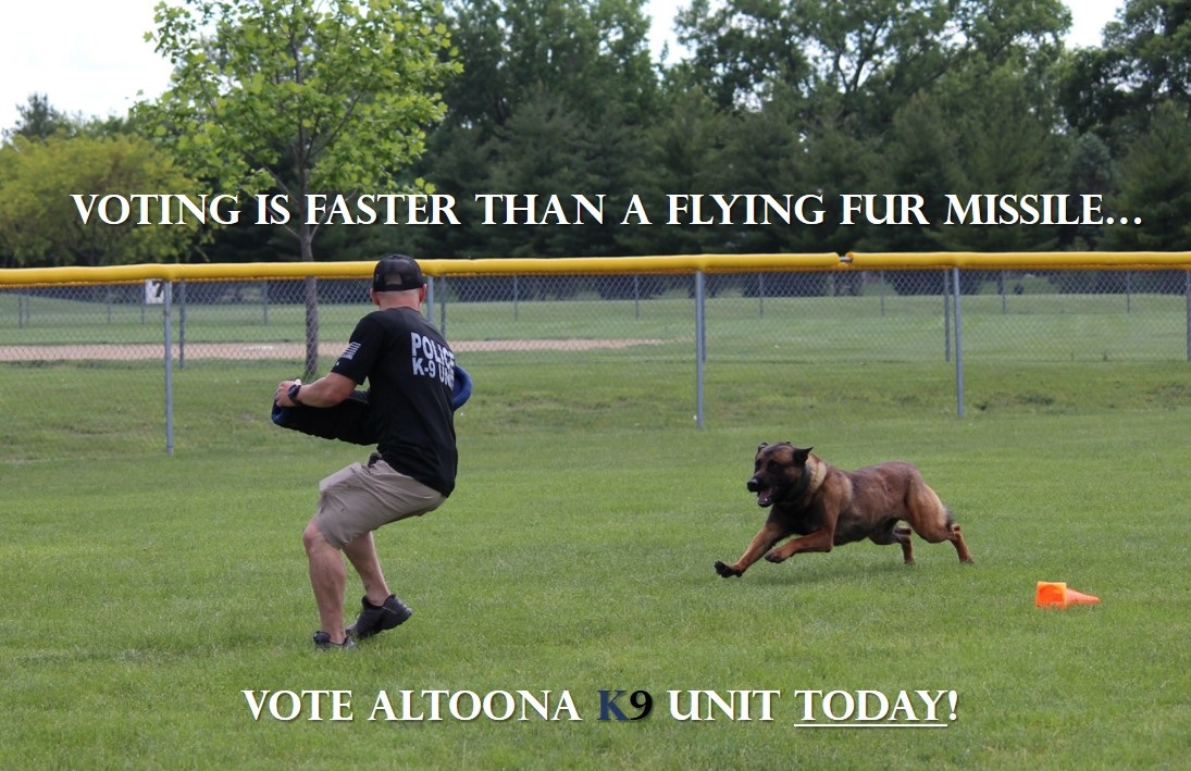 AltoonaPD_K9_IA's tweet photo. 🚨 DAY 2:  VOTE AGAIN 🚨
Click on this link 👇and VOTE! 
https://t.co/UV2PPJKkQ1
🔵⚫Let's show the US what the Altoona Police K9 Unit is made of! @AltoonaPD_Iowa @CityofAltoonaIA @APDK9DUKE @K9Zeke @PayneReports @SEPSchools @OutletsofDSM @HyVeeAltoona @Altoona_Chamber https://t.co/zNoc1Mxcos