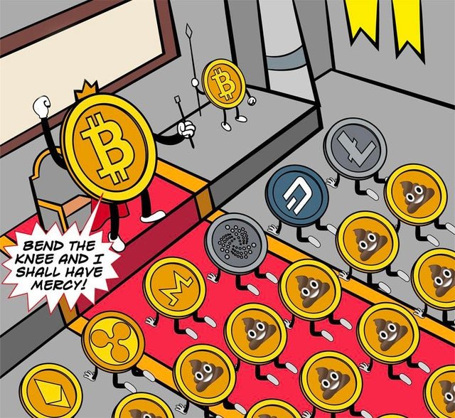 forocoin's tweet photo. Larga vida al rey #Bitcoin 

Esto nadie lo puede parar. https://t.co/1CroV7NGJ5