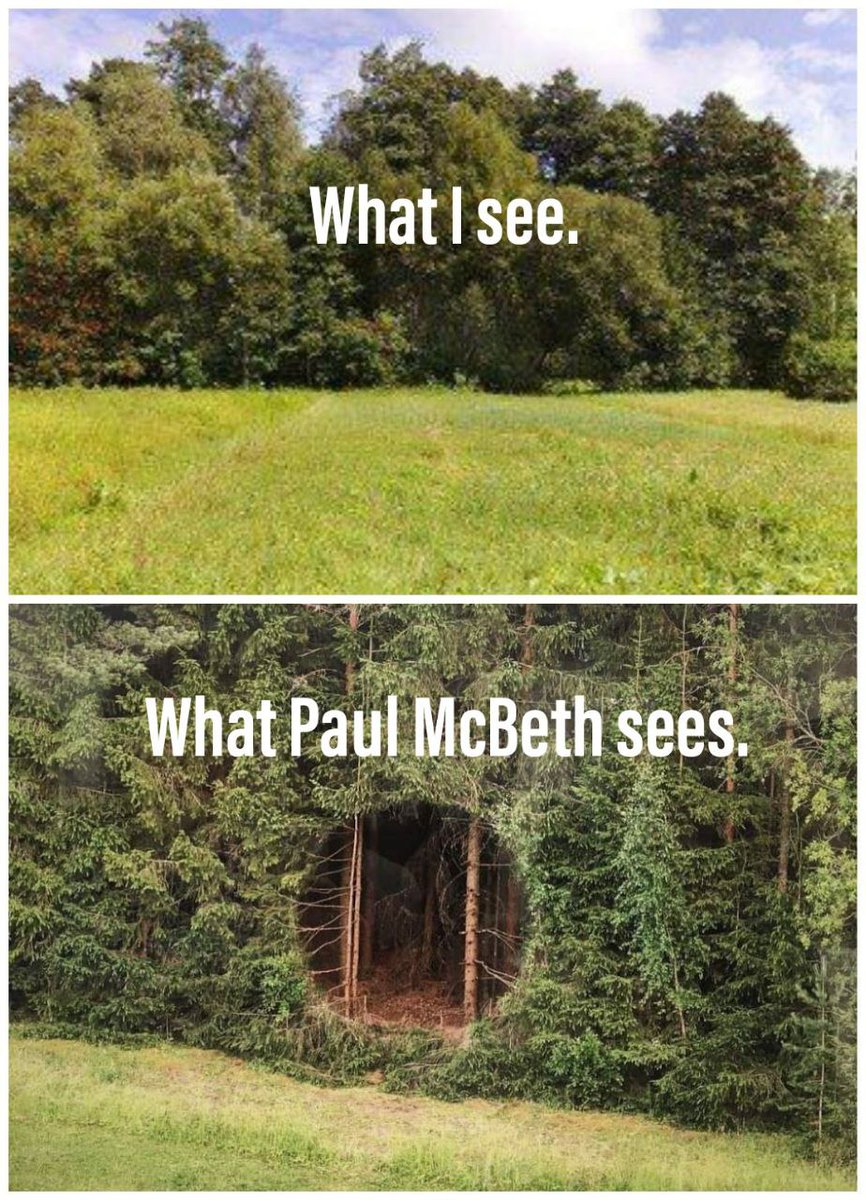 GreyMuzzleGeek's tweet photo. Just sayin'.
@JomezPro @Paul_McBeth 
#discgolf #whyaretrees #embracethesuck https://t.co/aazUF76KpC