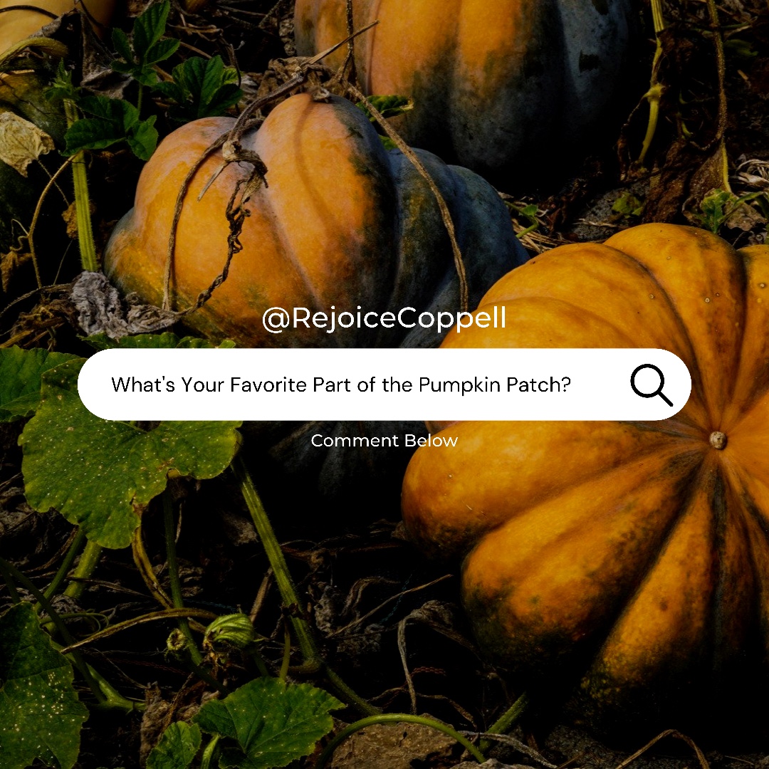 rejoicecoppell's tweet photo. What’s your favorite part of the Pumpkin Patch? Ours is seeing all the kids at story time!
#pumpkinpatchcoppell #rejocielife #coppellpumpkinpatch #pumpkinscoppell #pumpkinpatch #pumpkins #coppellpumpkins #coppelltx #rejoicecoppell #rejoicelutheran #churchpumpkinpatch #fellowship https://t.co/X8IFbiaotW