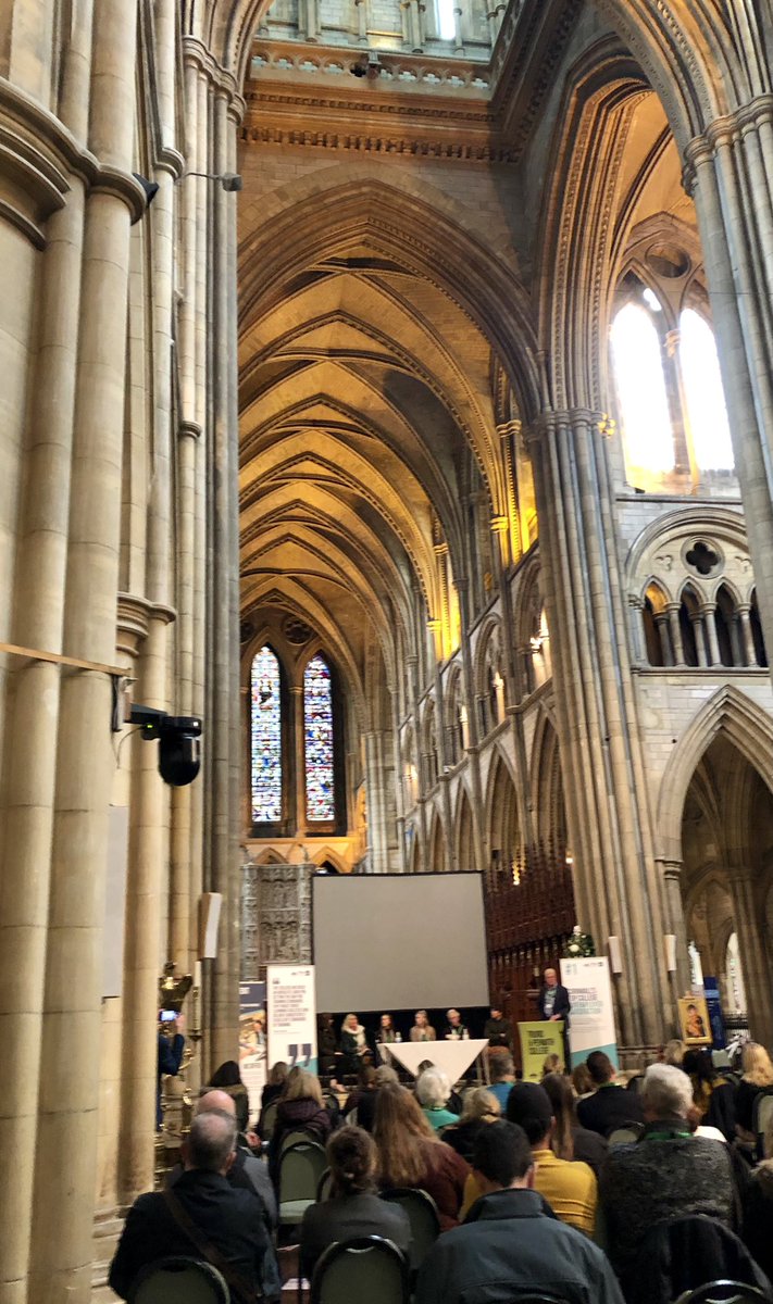 Ben Whitehouse tweet media