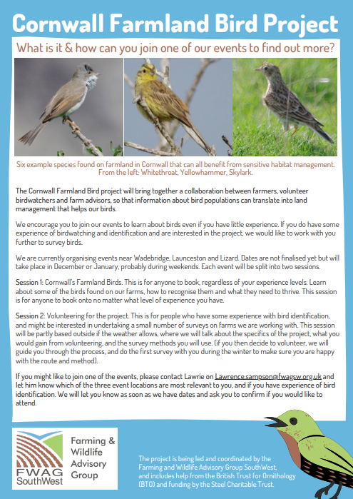 Cornwall Birds tweet media