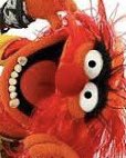 Amuppet67's tweet photo. @bunsenbernerbmd Ahhhhhhh! https://t.co/G7zt9kfFJy