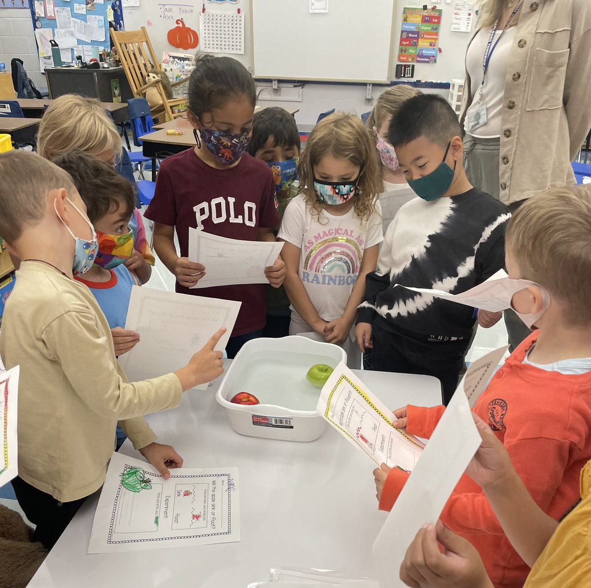 Little scientists observing apples floating.@abbott_elc <a href="/MTPSNJ/">Marlboro Twp Schools</a>