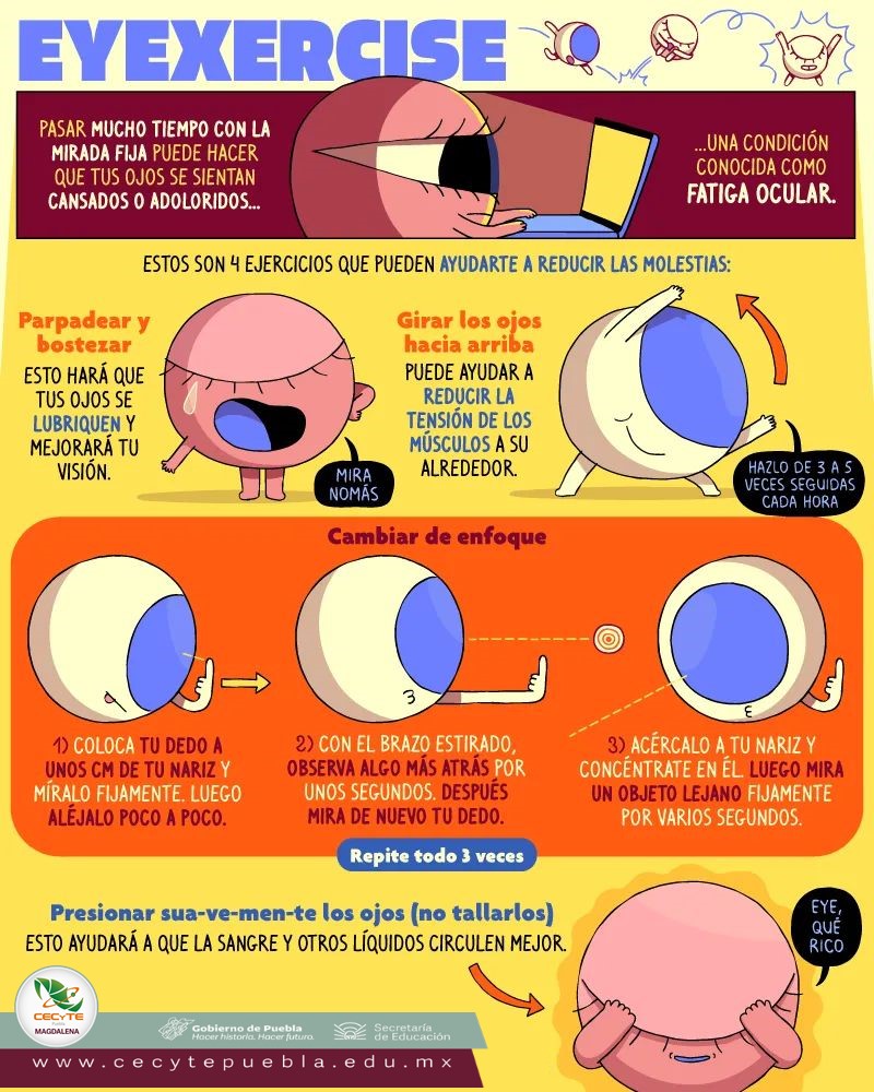 CECyTEMagdalena's tweet photo. ¿Pasas mucho tiempo frente a la computadora?
Si es así puede que tus ojos se sientan cansados o adoloridos. 
Estos 4 ejercicios pueden ayudarte a reducir las molestias. 
¡Practícalos!

#SomosCECyTE
#CECyTEdeDiez https://t.co/mOrjQ4rnif