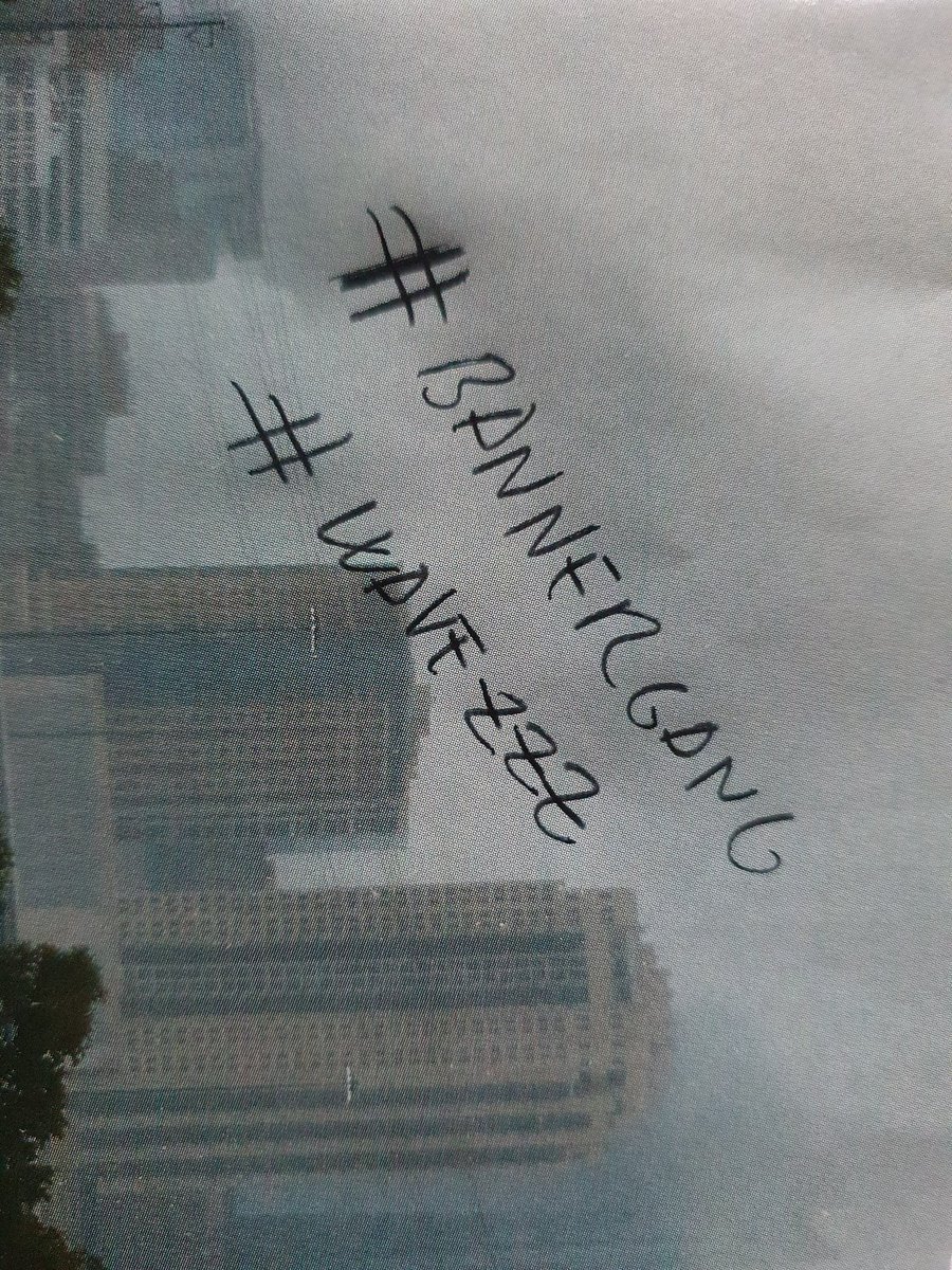 PauGBas's tweet photo. @Wavezzz_NFT #bannergang #wavezzz to the most eye pleasant NFT @Time_Agor @cryptopousi @c_s_armendariz https://t.co/ZJGz8nP0tK