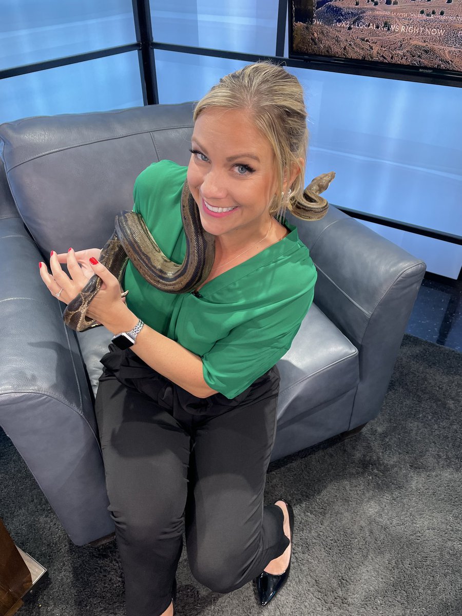 AbbieBurke21's tweet image. PET OF THE WEEK: Sssssurprise! It’s a snake! 🐍 Merlin here is a 5.5 ft long boa constrictor. He’s very friendly and easy to handle but should go to a home with some reptile experience. Adopt him TODAY from @HSPPR! #adoptme #adoptablepets #snake #boa #tvnews #amnews