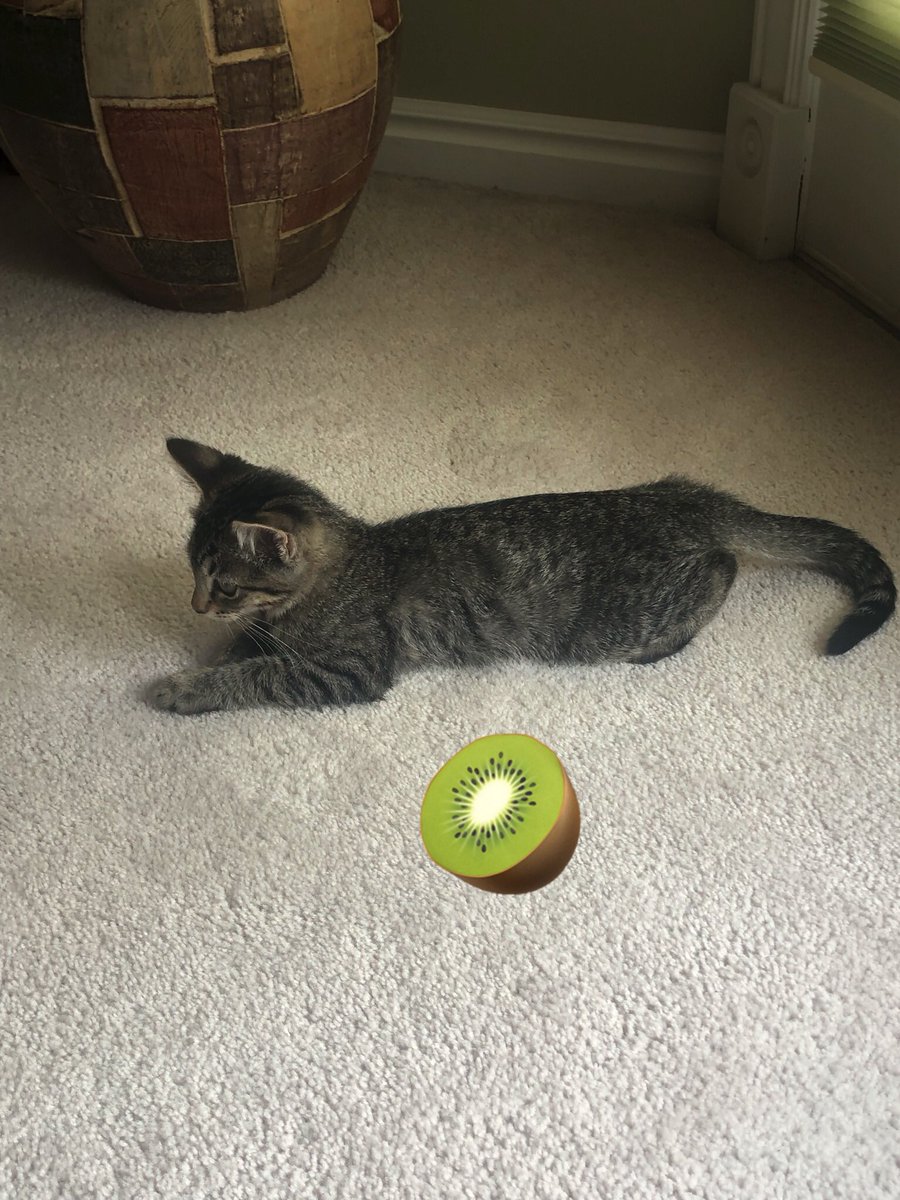 joshisnotnormal's tweet photo. @nickisnotgreen Kiwi 😎 https://t.co/xYOunz1tZY
