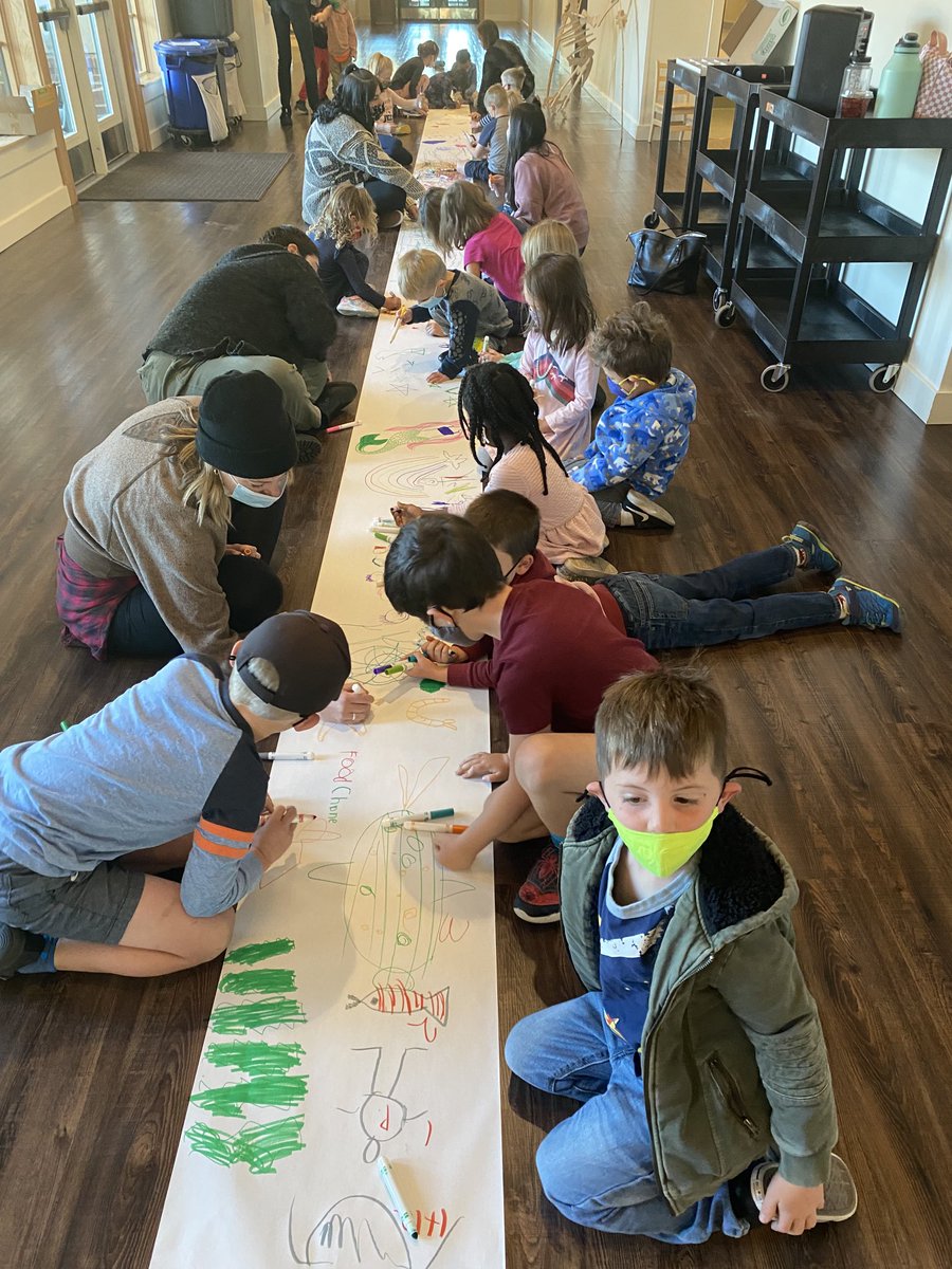 CompositiveEdu's tweet photo. Each day during Commotion in the Ocean begins with a big group drawing activity. #studentledinquiry https://t.co/hNzgifqjMd