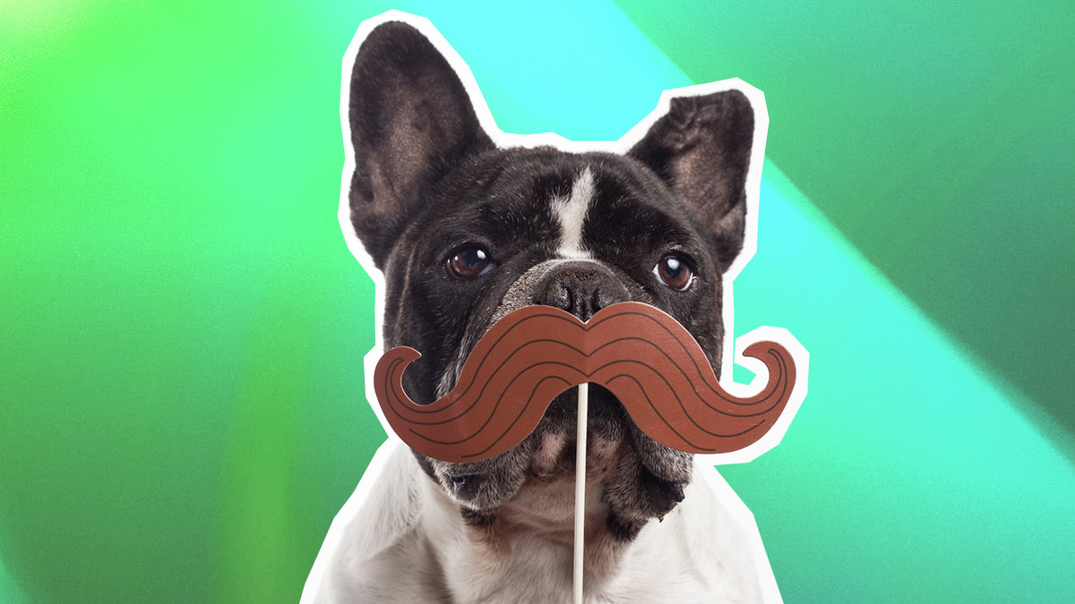 online_arora's tweet photo. 💪  For those who are about to Mo, We Salute You! Happy #Movember! 

#menshealth #mentalhealth #moustache #mobro #mentalhealthawareness #men #over #mustache #prostatecancer #noshavenovember https://t.co/jsPOcBKFZj