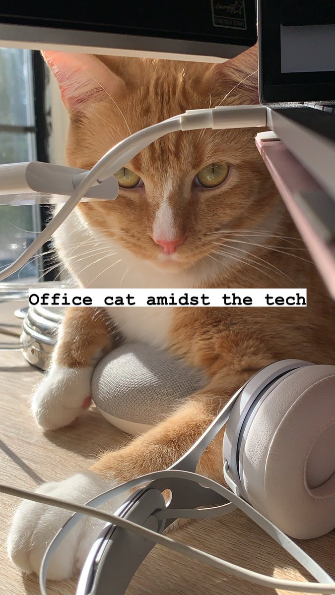 4CIntegrated's tweet image. 