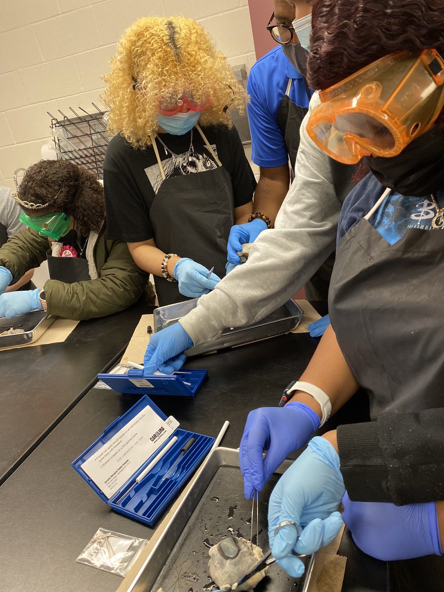 DenisePurvis10's tweet photo. Dissection of the cow’s eyes to look at the structure of the eye. Had to take a moment to share yet another experience in Biomed Science here @WestoverHS Thanks @Black2Afaraka @cte_ccs https://t.co/O5LXC55GSc