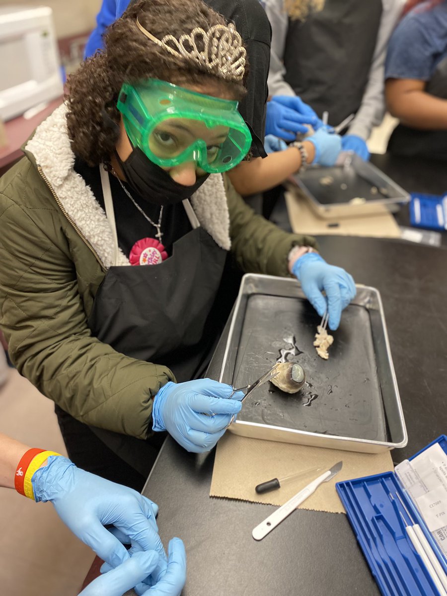 DenisePurvis10's tweet photo. Dissection of the cow’s eyes to look at the structure of the eye. Had to take a moment to share yet another experience in Biomed Science here @WestoverHS Thanks @Black2Afaraka @cte_ccs https://t.co/O5LXC55GSc