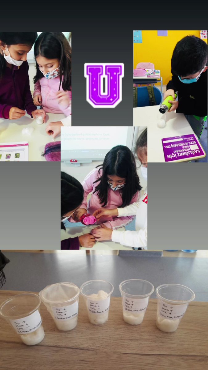 #UğurdaSorumluÜretimveTüketim 
#DünyayaUğurluGelelim
<a href="/ardaergez/">Arda ERGEZ</a> <a href="/Filizolgunpolat/">Filiz Polat</a> <a href="/YeldaGulsay/">Yelda Gülsay</a> <a href="/aycadnzgngr/">AyçaGüngör</a> @UgurBursaKampus