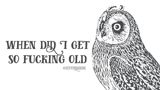 FCJq6B7XEAYnPZL?format=jpg&name=small