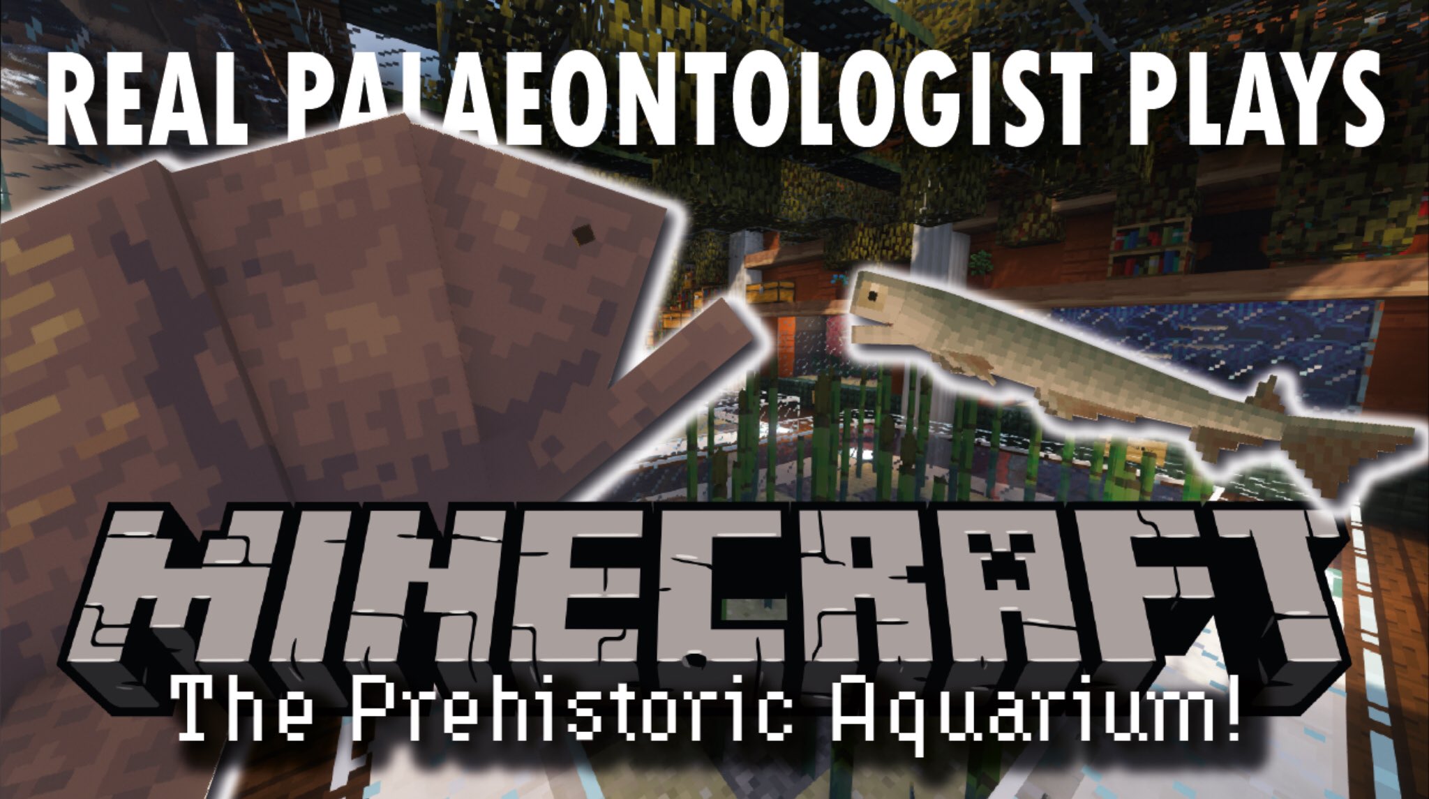 Palaeocastgn New Video This Week We Resume Work On The Prehistoric Aquarium And Introduce Bothriolepis Titanichthys And Acanthodes To Their New Homes Pretty Sure I Go On A