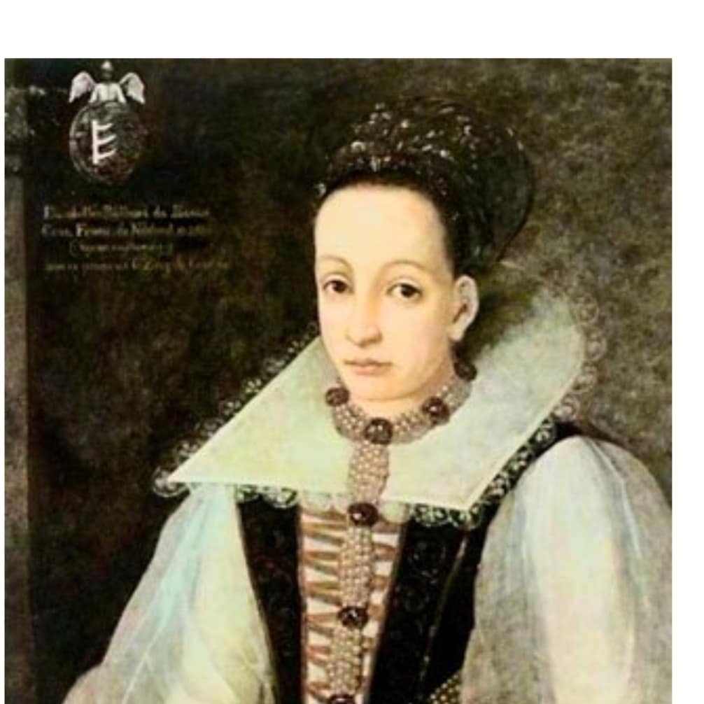 crimedinerpod's tweet image. EP: Witches Be Cray
linktr.ee/wdst
Nydia tells us about Sophia Zhukova, an 81 year old. What plans did she have for the refrigerated intestines of her victim? Dana tells us about Elizabeth Bathory. Did she really drain the blood of her victims?

PROMO:
@PodcastFigure