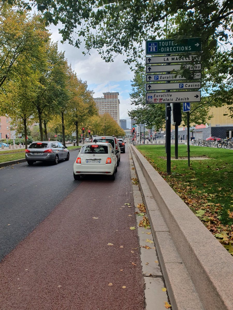 Réalisé sans trucage.

Oui le Bordeaux c'est la piste cyclable.

RDV dès que la peinture sera finie, là cette fois c'est bon les automobilistes ne viendront plus dessus. La peinture ca changera tout.

Non je rigole.