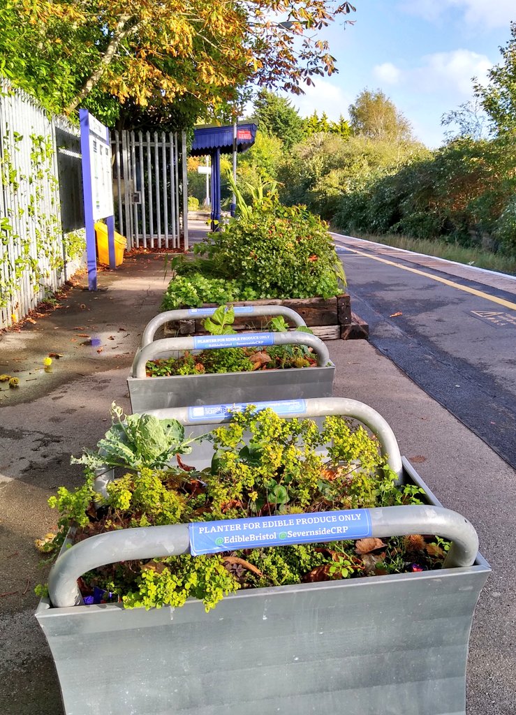 Paul Webster tweet media