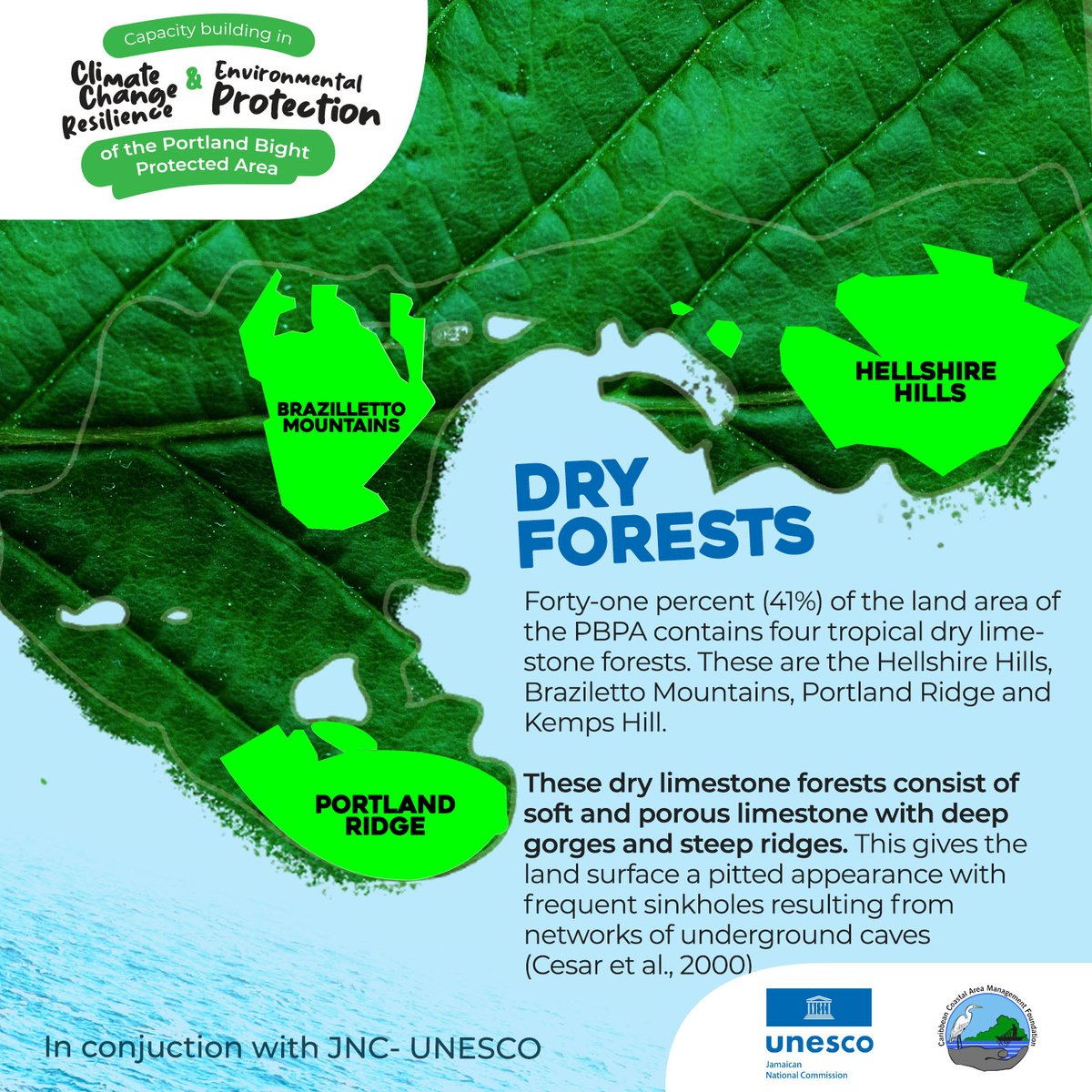 ccam_foundation's tweet photo. Features of the Portland Bight Protected Area
#capacitybuilding #portlandbightprotectedarea #features #UNESCO https://t.co/hgGWTQ1TzM