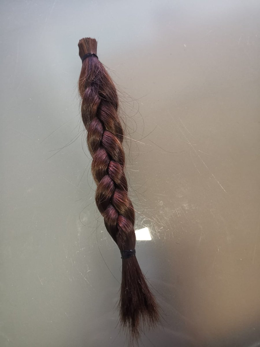 Thewindlady's tweet photo. Orgullosa de mi hija, que se ha cortado la coleta para #mechonessolidarios
#donapelo
Más investigación, menos rosa. Lo hemos vivido. https://t.co/9j6VoJMxJl