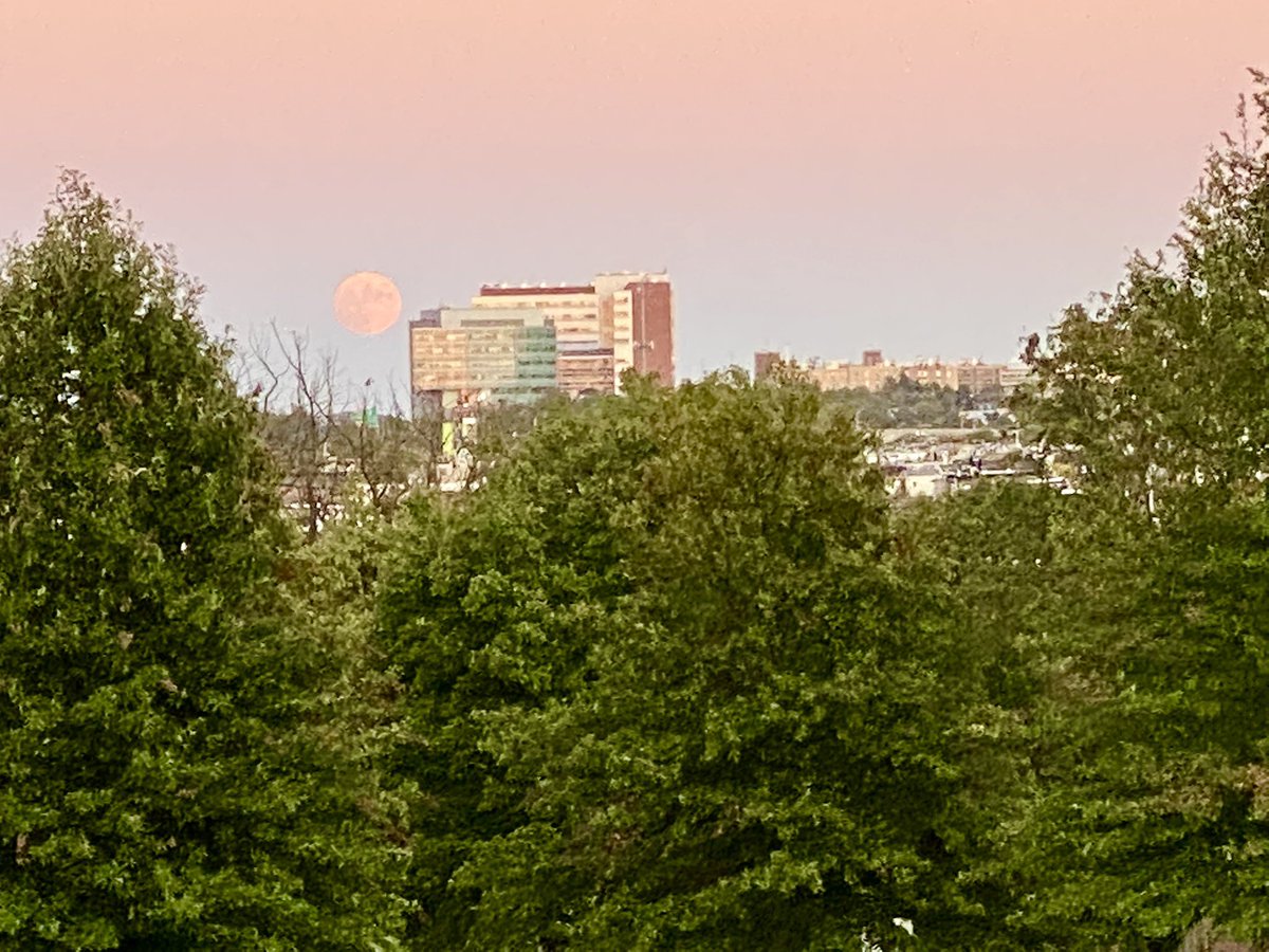 CraigMyrum's tweet photo. I’m usually taking photos of the sunset from the BRC, but last night’s moon rising on the opposite side of the BRC was equally stunning! 🌝 https://t.co/7pe8YzDLzv