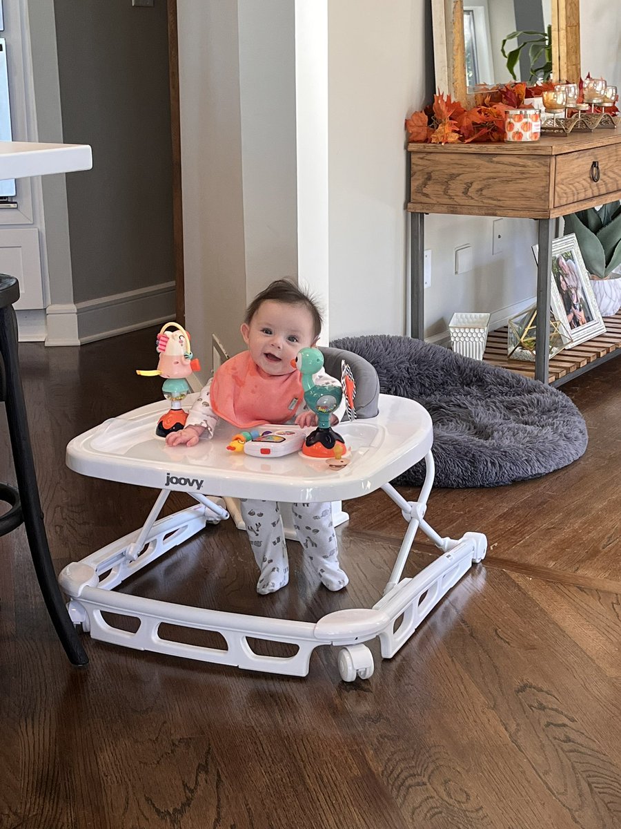 Bobizard13's tweet photo. @Clintus Mel got her first set of wheels… https://t.co/9OyA1TmBa8