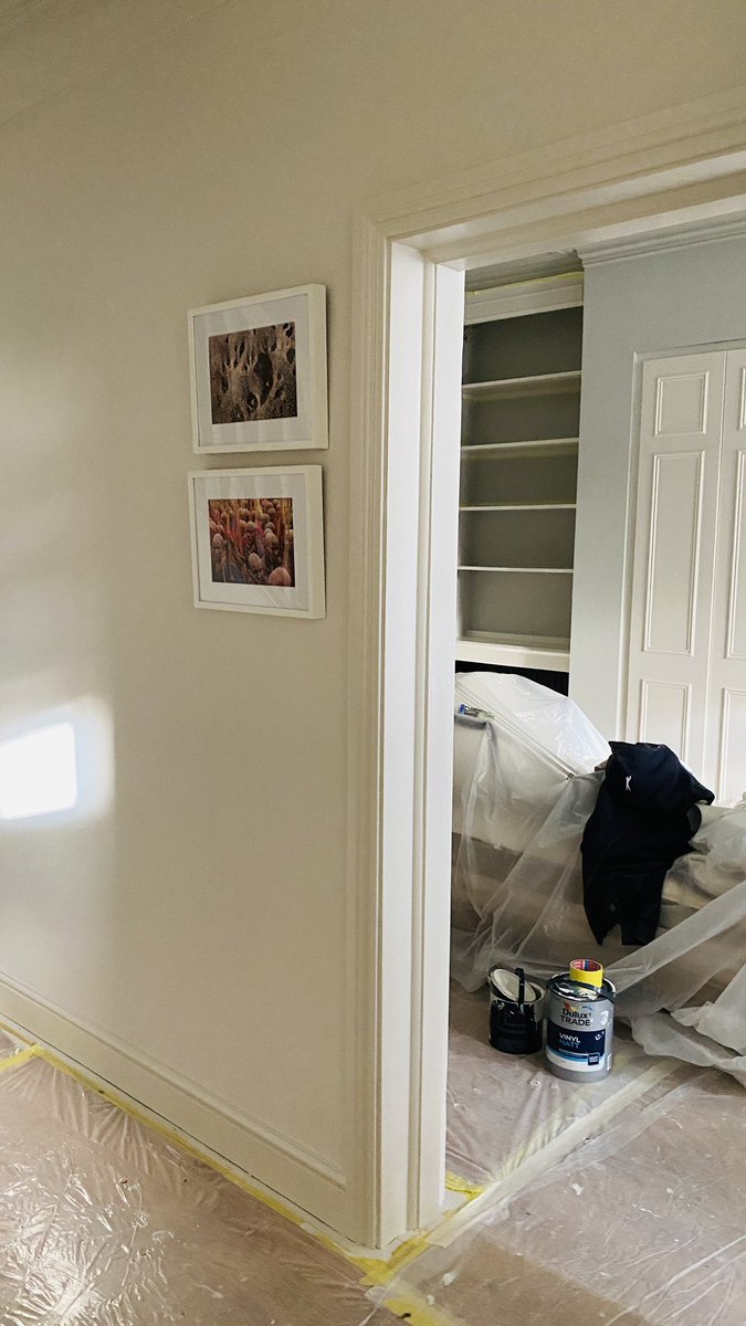 BespokeDecorUK's tweet photo. Getting close to end of the project @paint_library  most of it and @DTPaintExpert the rest of it. #bespokedecirukltd #karoldoba #paintlibrary #interior #bespokedecoruk https://t.co/sg7JGR30Wr