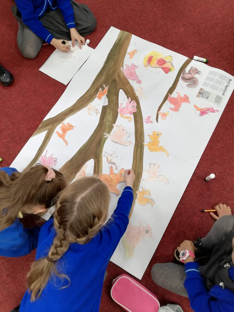 AgaGrandowicz's tweet photo. It was so great to be back on tour with live drawing workshops for children, this time as part of the #ChildrensBookMonth in Co. Galway and I was delighted to talk about my recent #RemarkableCreaturesBook and draw select animals from it 💚📗 (1/2) https://t.co/fFeSGrJnGS