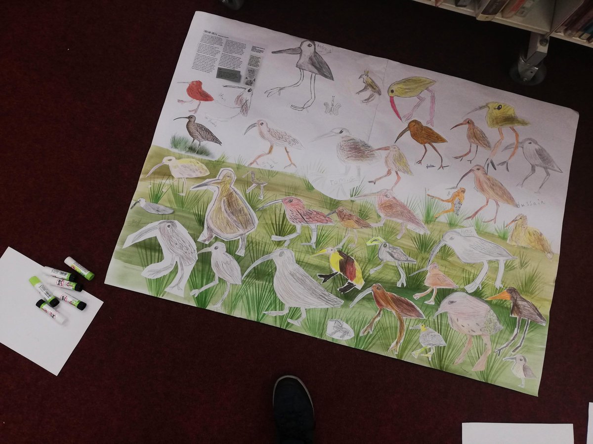 AgaGrandowicz's tweet photo. It was so great to be back on tour with live drawing workshops for children, this time as part of the #ChildrensBookMonth in Co. Galway and I was delighted to talk about my recent #RemarkableCreaturesBook and draw select animals from it 💚📗 (1/2) https://t.co/fFeSGrJnGS