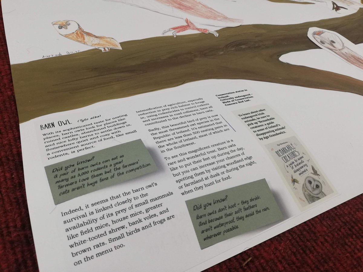 AgaGrandowicz's tweet photo. It was so great to be back on tour with live drawing workshops for children, this time as part of the #ChildrensBookMonth in Co. Galway and I was delighted to talk about my recent #RemarkableCreaturesBook and draw select animals from it 💚📗 (1/2) https://t.co/fFeSGrJnGS