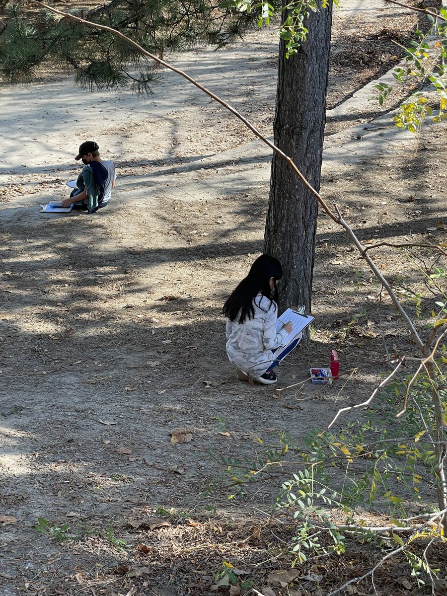 mlleasorin's tweet photo. It’s #TakeMeOutsideDay ! What fun things are you up to?
Room 111 is busy looking at things through different perspectives and using adjectives in their creative writing pieces to to describe what they see!
@AllenbyPS_TDSB #outsideEd https://t.co/d0IAO2PijE