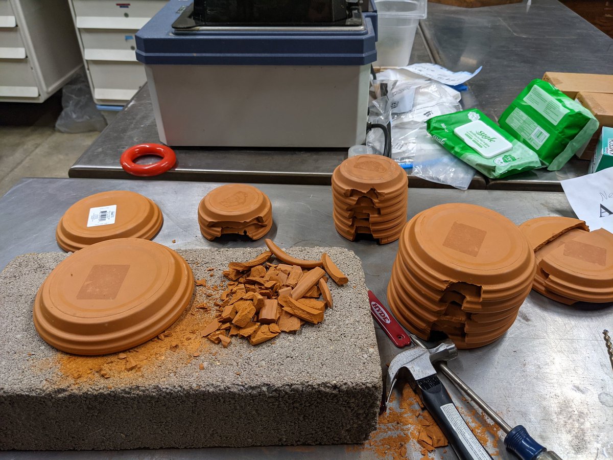 McCallMeB's tweet photo. So excited to have madtom catfish in the lab! It's been interesting to say the least. Probably my favorite moment, building them homes and seeing them choose the space within the heater and under the filter sponge instead 🤦 just like a cat choosing the box over a bed https://t.co/FuKSACn4Wm