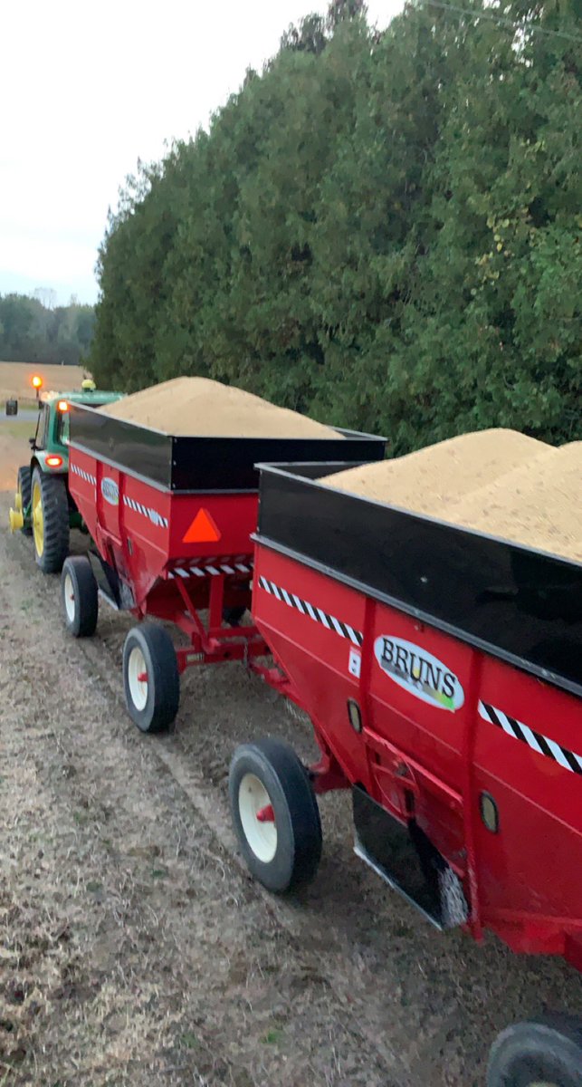 drewlebedz's tweet photo. #harvest21  rolls on! This little man sure loves green paint! @PioneerSeedsCA  @BrevantSeedsCA https://t.co/RLbqlFkMEW