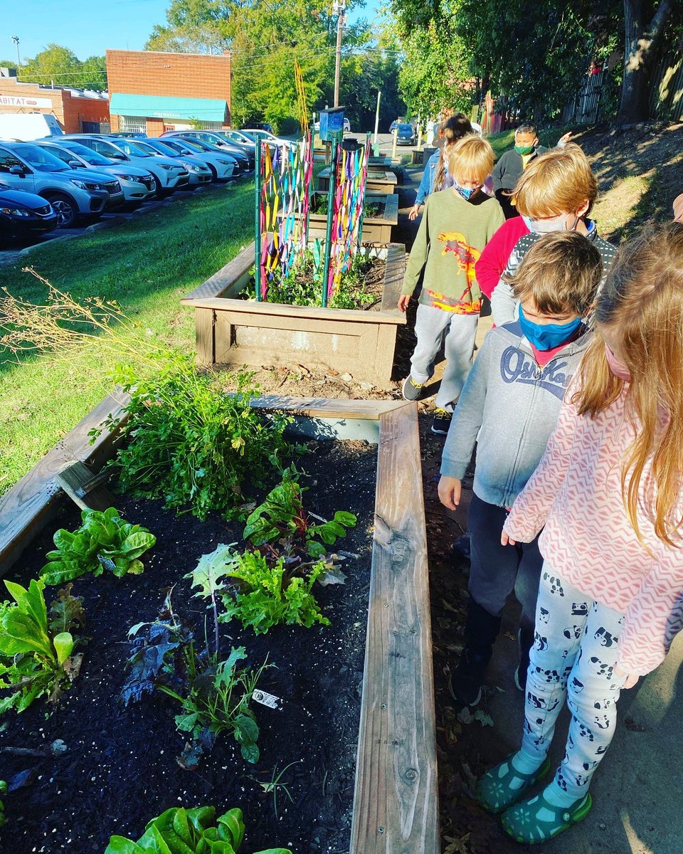 Anna's Class tweet media