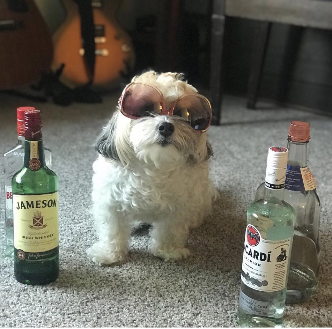 HeatherGin's tweet photo. Everyone say happy birthday to my son Jax!!! 🎉🍹❤️ https://t.co/O2BVYPESmQ