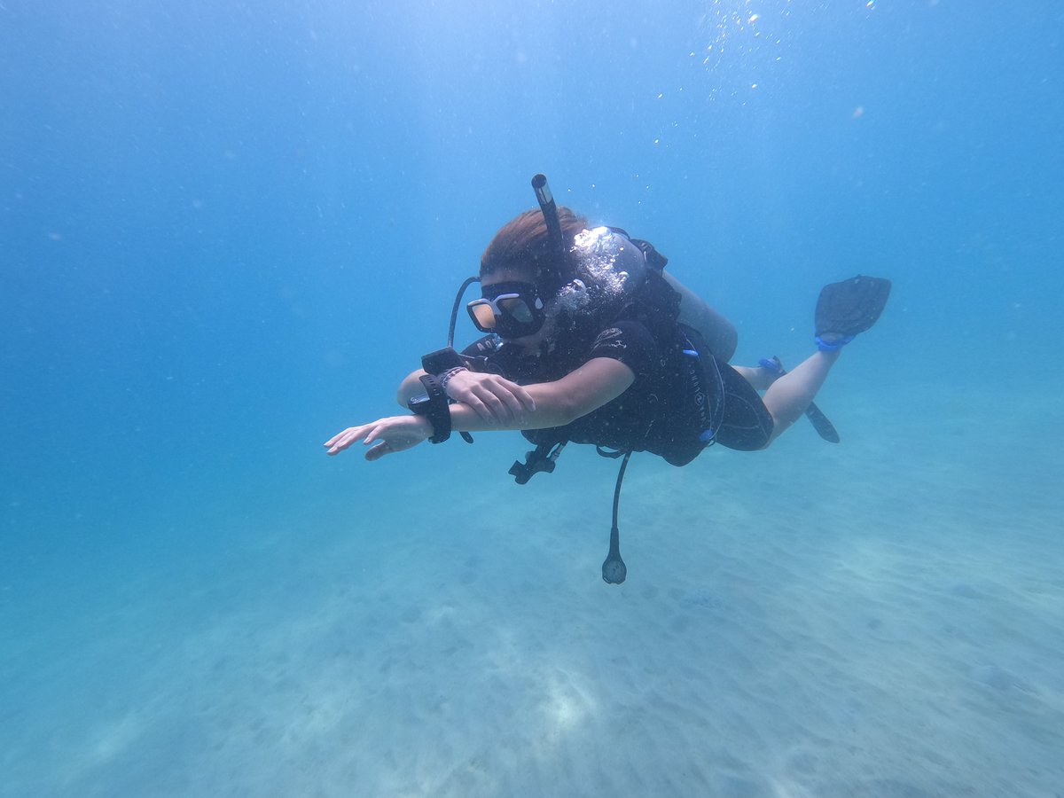 blackturtledive's tweet photo. @PADI Advanced Open Water Course - Mission Complete 🥳 and congratulations to our more confident and competent scuba divers.
👉 Don't miss out on all the fun of our PADI Advanced Diver Course on Koh Tao 🐢 🐠 #blackturtledive #kohtao
Book Now: https://t.co/vpyAzbiDWB https://t.co/YghdNZK20Q