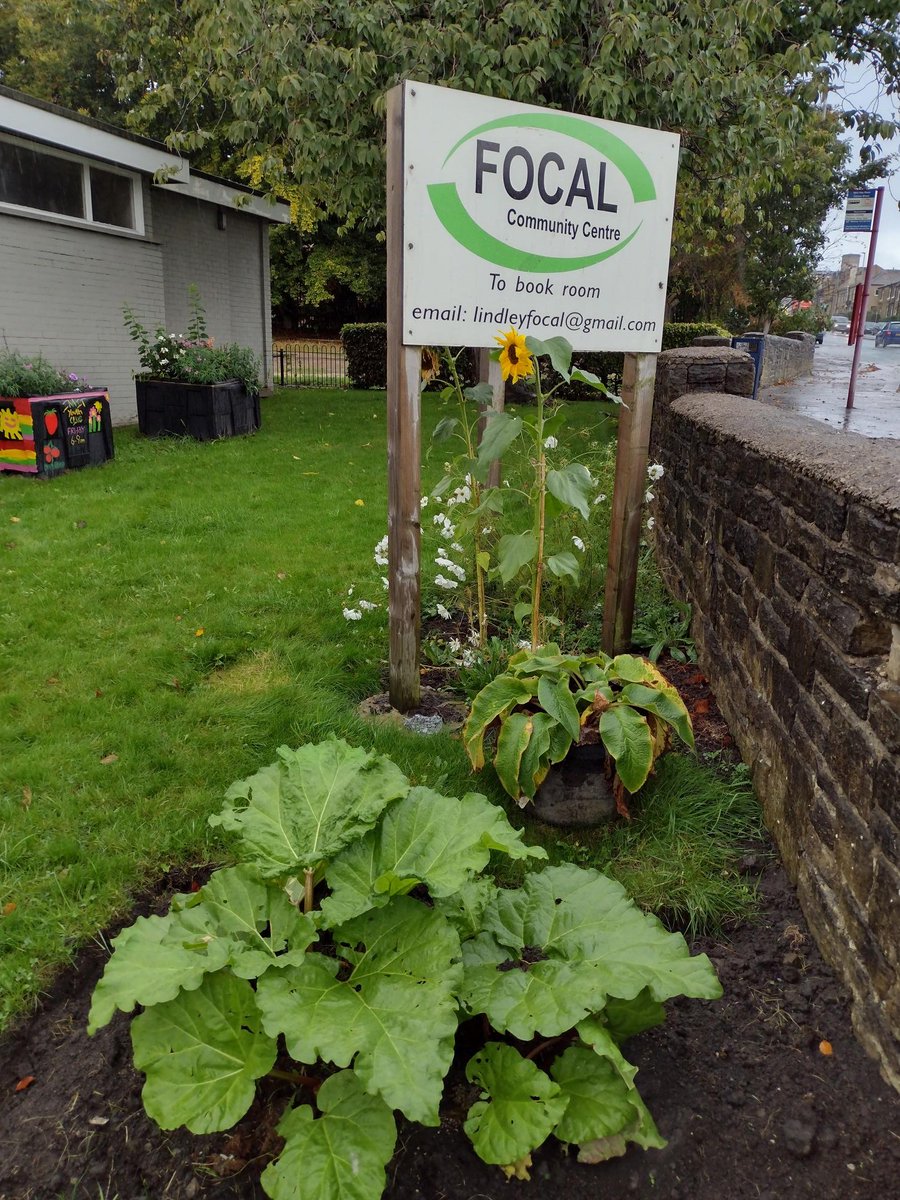 GrowingFocal's tweet photo. It may be raining, but were still here.
Planning where we can put the #Greenhouse if we can hit our #Target #Lindley #Huddersfield, please support our group #GrowingFocal
https://t.co/p6oQF4aqhz #GrowingGreatPlaces #SpaceHive https://t.co/oqQiq8roTC