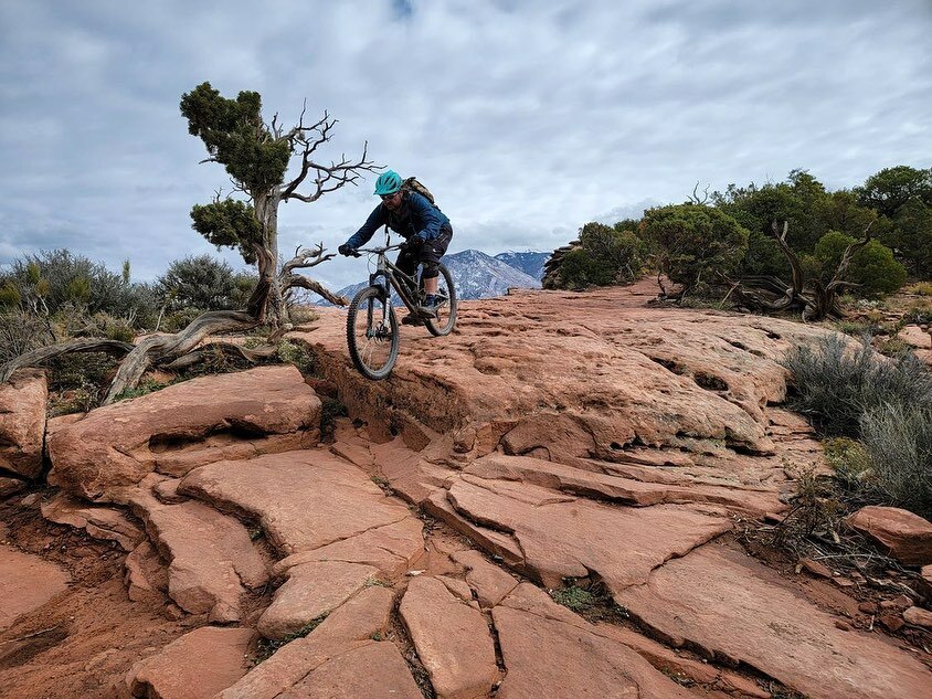 Yeah, that’s definitely rollable instagr.am/p/CVQUbEWlOMY/